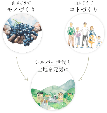 山ぶどうでモノづくり＋山ぶどうでコトづくり→シルバー世代と土地を元気に