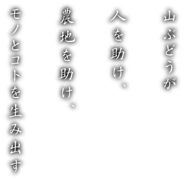 山ぶどうが、人を助け、農地を助け、モノとコトを生み出す